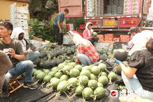 湖南娱乐吃瓜在一线