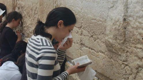 娱乐吃瓜君赵薇